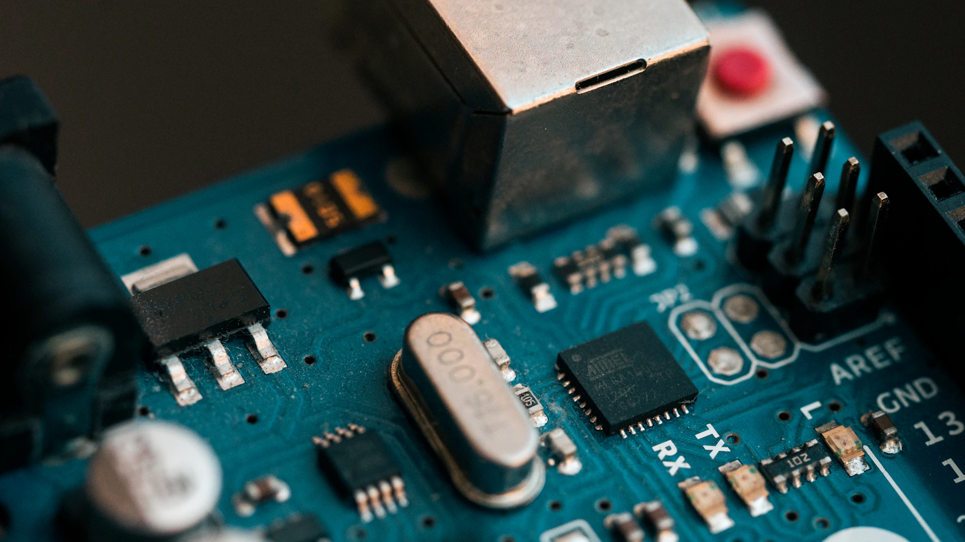 Electronic development board and connected components